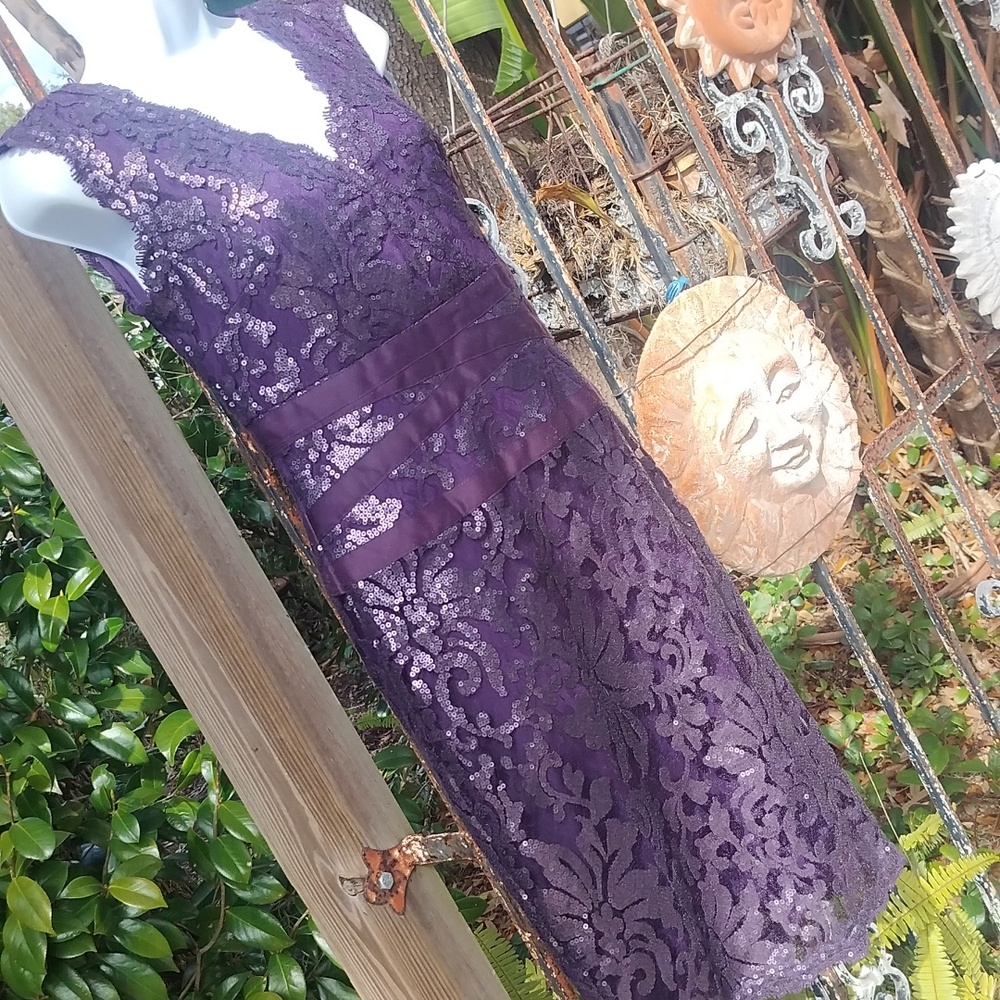 Adrianna Pappel Deep Amethyst Sequin Dress Size 2